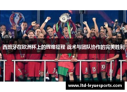 西班牙在欧洲杯上的辉煌征程 战术与团队协作的完美胜利