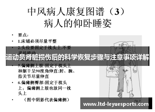 运动员肾脏损伤后的科学恢复步骤与注意事项详解