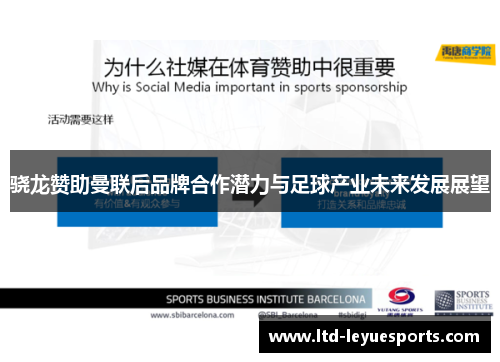 骁龙赞助曼联后品牌合作潜力与足球产业未来发展展望 骁龙赞助曼联后品牌合作潜力与足球产业未来发展展望
